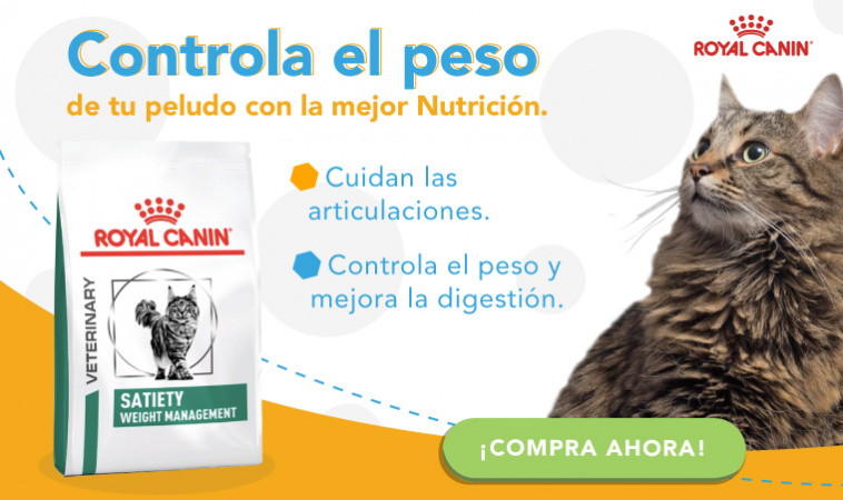 Campaña Control de Peso - Royal Canin