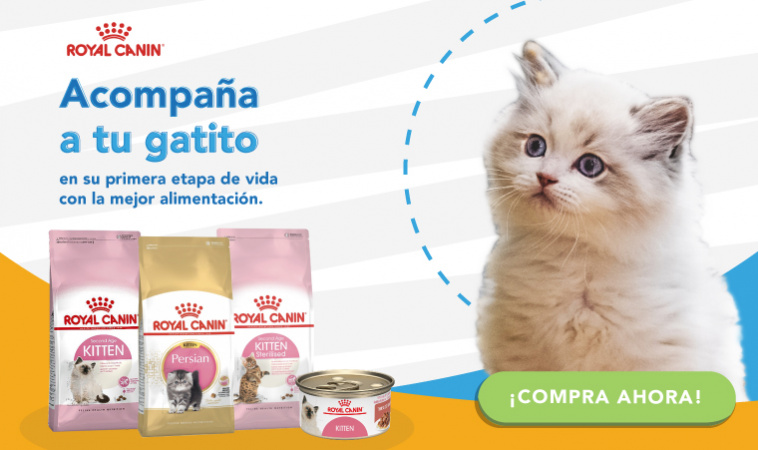 Campaña Royal Canin Kitten