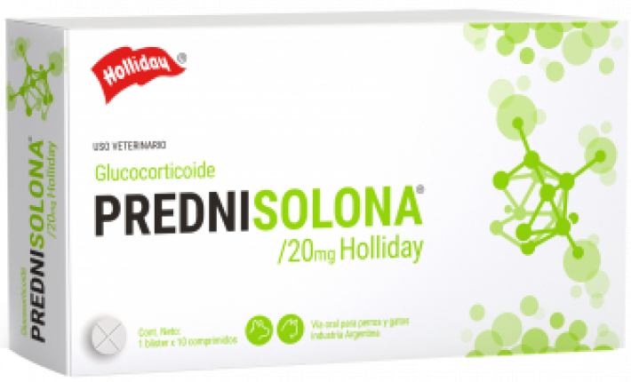 Prednisolona Antiinflamatorio Prednisolona Antiinflamatorio