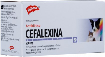 Cefalexina Antibiótico 500mg 50 Tabletas