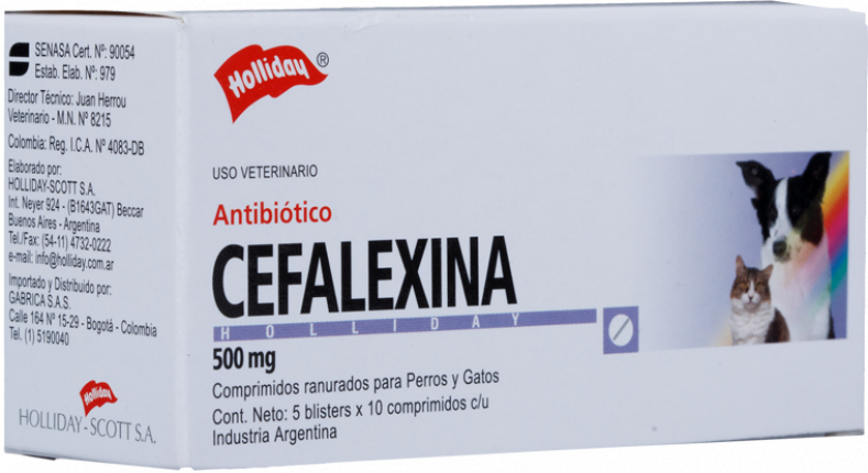 Cefalexina Antibiótico 500mg 50 Tabletas Cefalexina Antibiótico 500mg 50 Tabletas